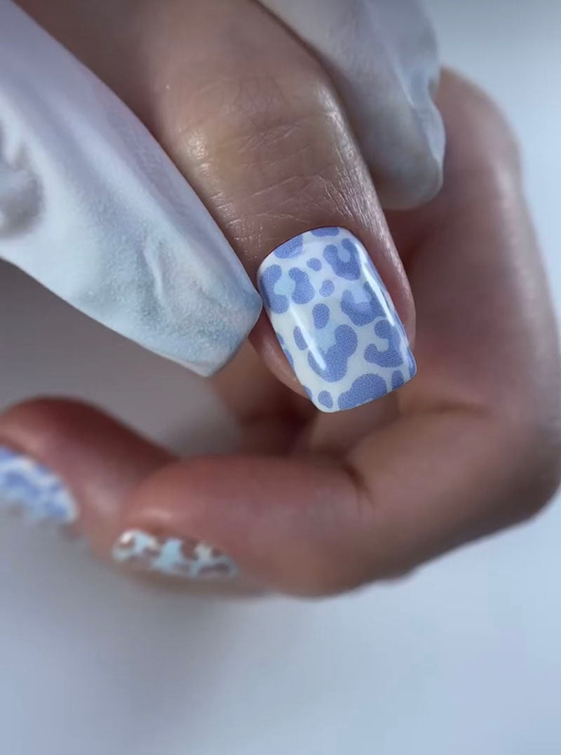 Manicure Mix animal. Blue brown Leo. Nail wrap WM-933