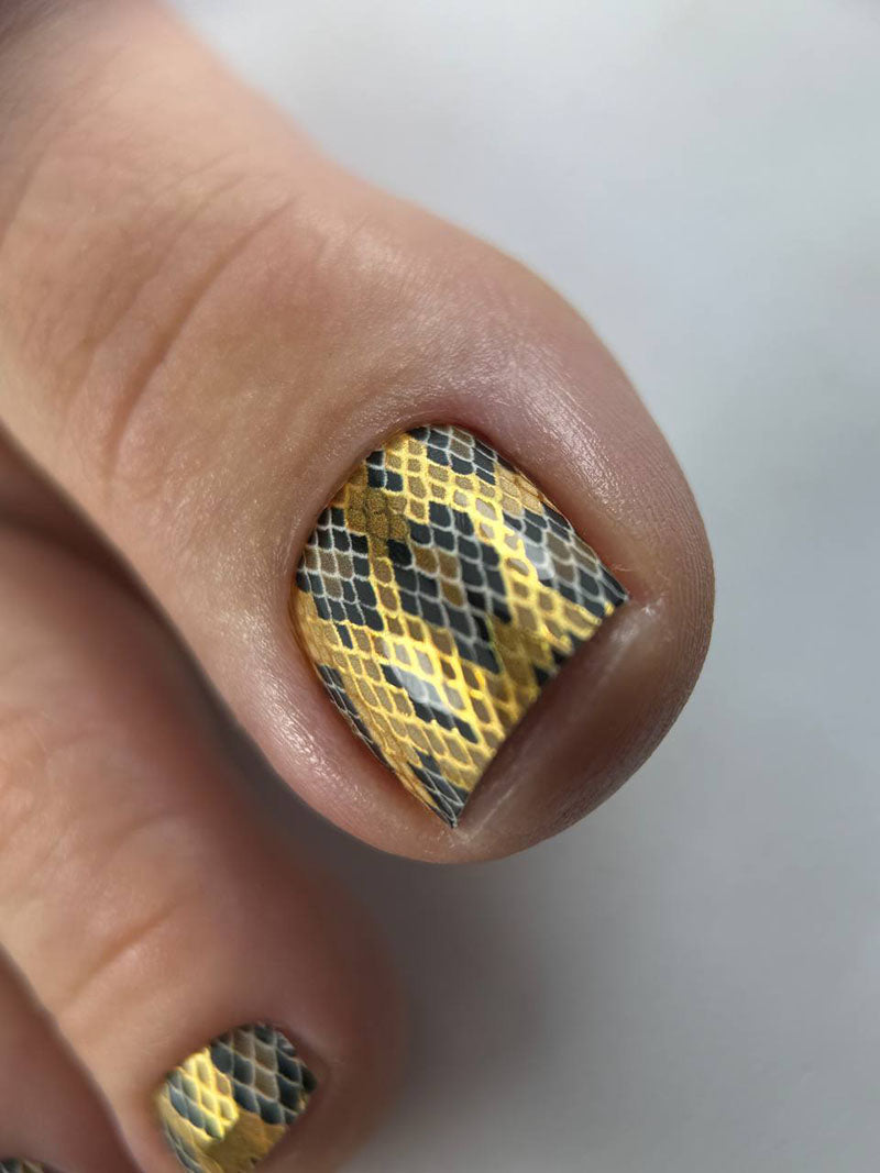 Pedicure Python. Brown. Foil gold. Nail wrap WR-603