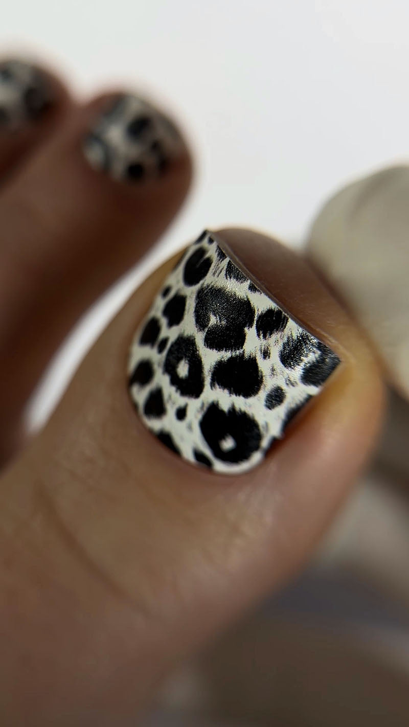 Pedicure Leo. Black and white. Nail wraps WR-453
