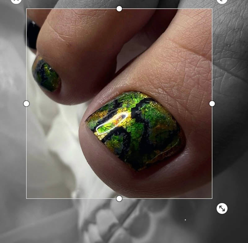 Pedicure Python. Nail water decals SR-001