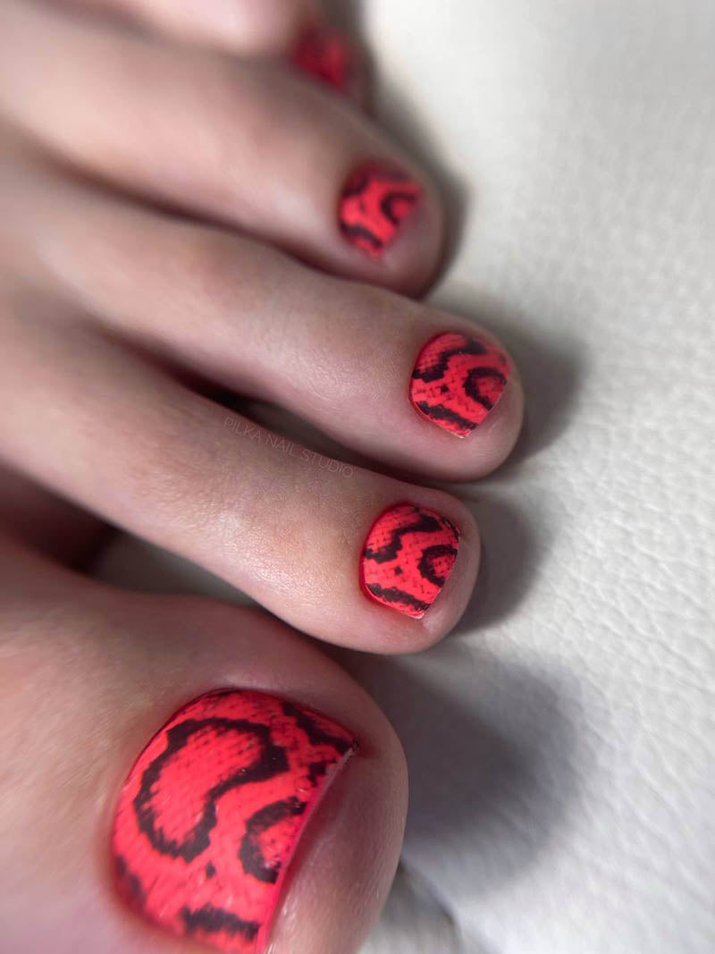 Pedicure Python. Nail water decals SR-001