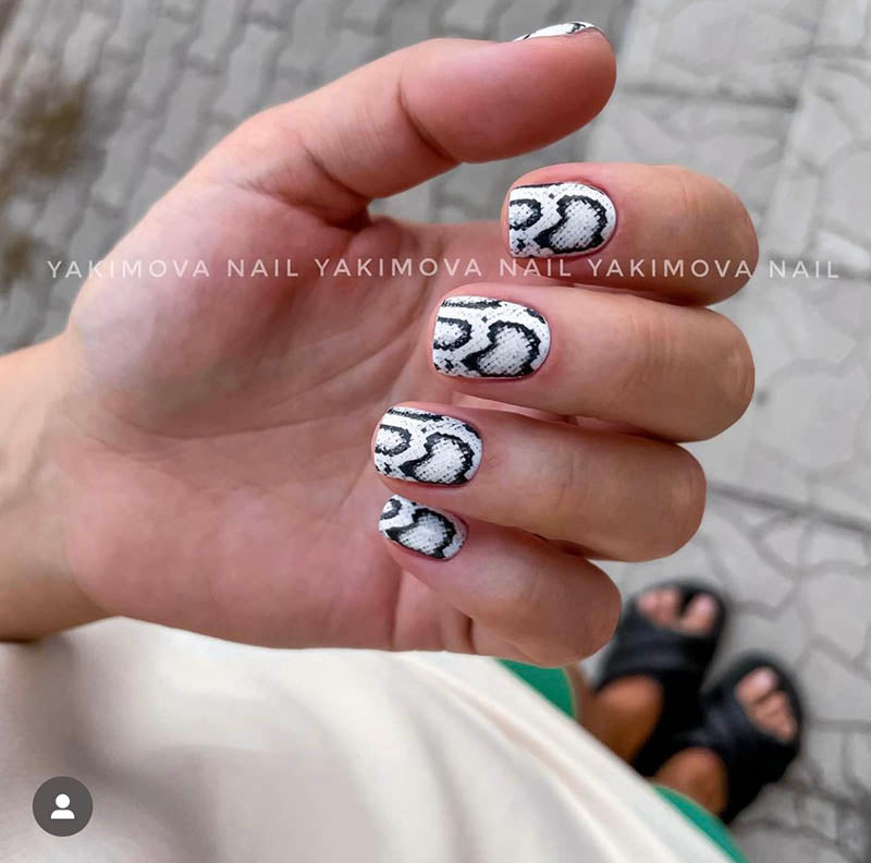 Manicure Python. Nail water decals SR-028