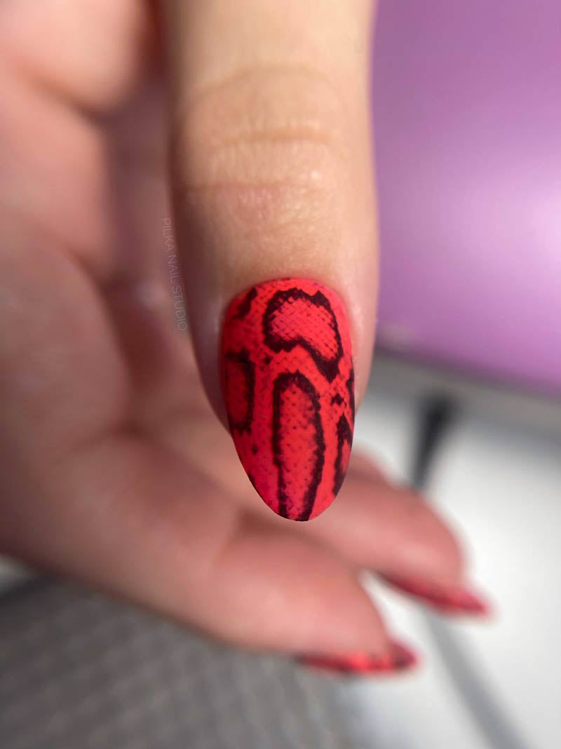 Manicure Python. Nail water decals SR-028